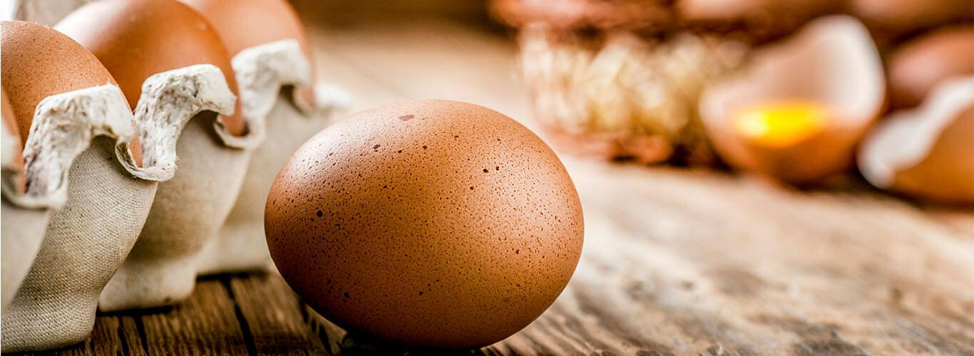 Czy można jeść jajka codziennie? Fakty i mity o jedzeniu jajek